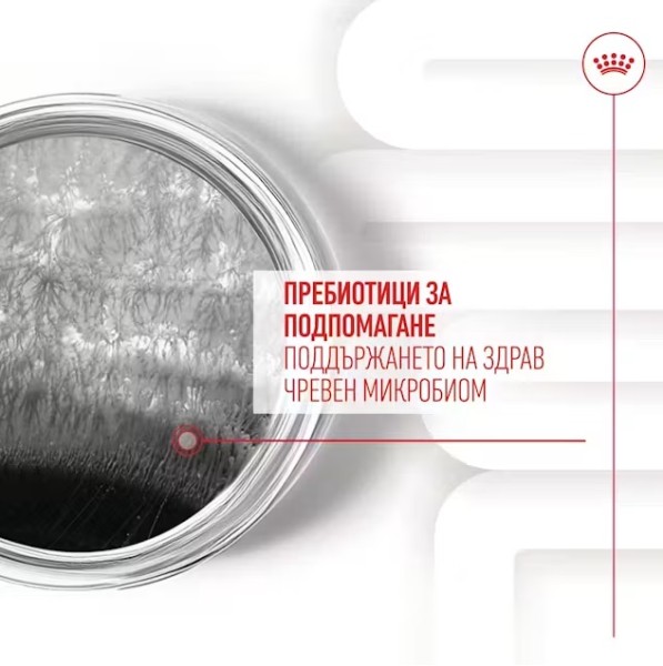 Royal Canin Adult Dog Supplement Digestion - Хранителна добавка за кучета в зряла възраст за по-добро храносмилане 160 гр
